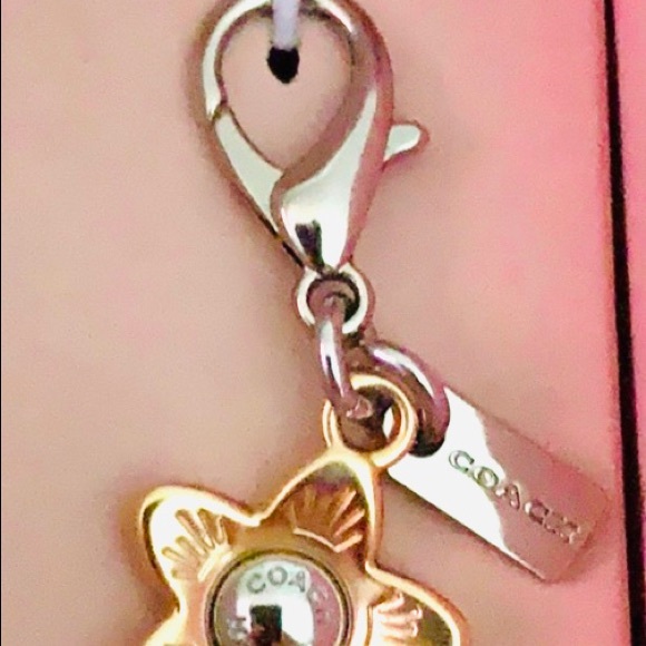 COACH Boxed Corner ZIP Wristlet / Dandelion Floral - Picture 10 of 16